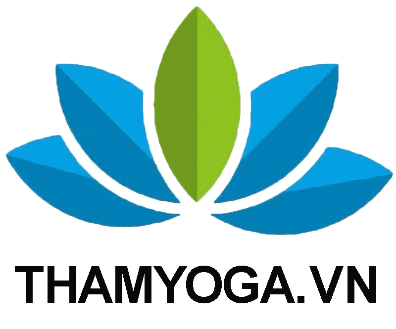 Thảm Yoga VN đơn vị cung cấp thảm yoga số 1 TPHCM