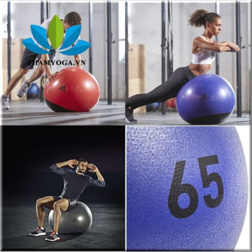 Bóng tập Yoga, tập Gym Adidas 65cm Premium ADBL-14246
