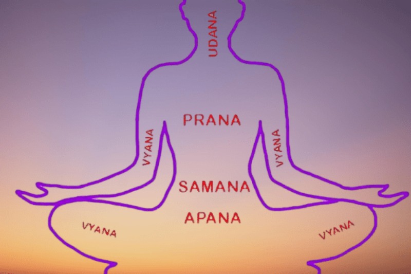 Prana là gì Prana là gì