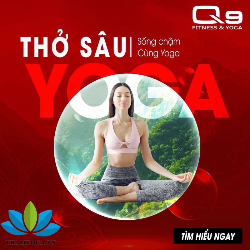 Câu lạc bộ yoga quận 9 Q9 Fitness & Yoga