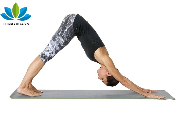 Lợi ích khi tập Stretch yoga Lợi ích khi tập Stretch yoga