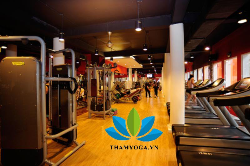 TRUNG TÂM NSHAPE FITNESS TRUNG TÂM NSHAPE FITNESS