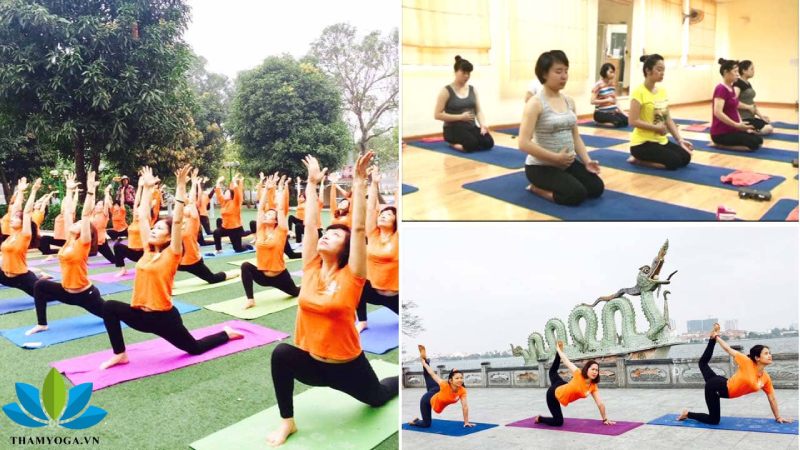 Lớp dã ngoại cuối tuần do Yoga Ananda tổ chức Lớp dã ngoại cuối tuần do Yoga Ananda tổ chức