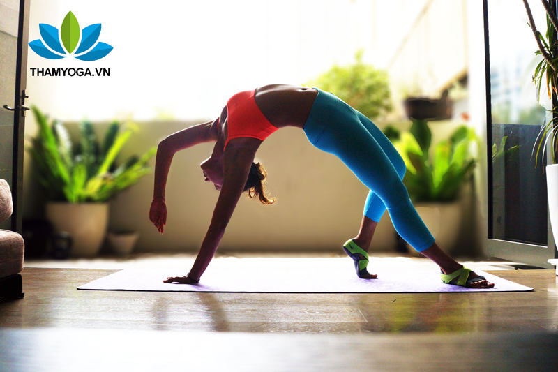 Sức khỏe trong Yoga được giành lấy bằng mồ hôi của bạn